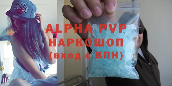 mix Инта