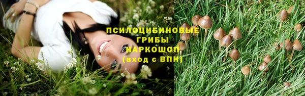 mix Инта