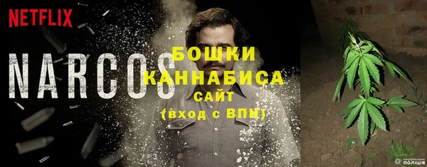 mix Инта