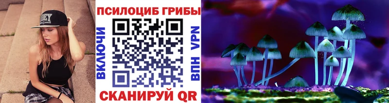 Псилоцибиновые грибы GOLDEN TEACHER  Купить  Гаврилов-Ям 